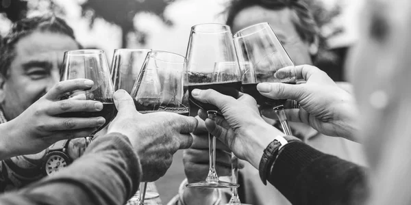 Люди празднуют и пьют вино — стоковое фото