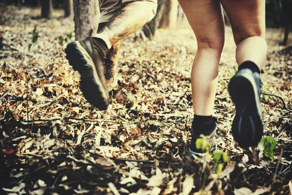 Vänner springer i skogen — Stockfoto