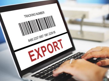 Dizüstü bilgisayarla çalışan kadın