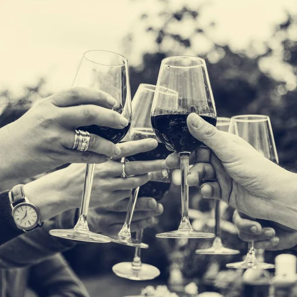 Persone che celebrano e bevono — Foto Stock