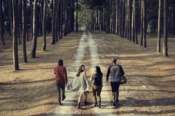 Amici che camminano nella foresta — Foto Stock