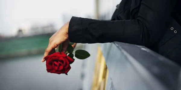 Mulher com rosa vermelha nas mãos — Fotografia de Stock