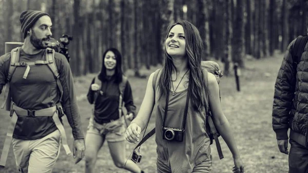 Jovens amigos viajantes na floresta — Fotografia de Stock