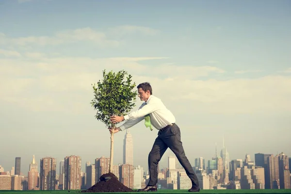 Businessman plants tree — Stock Photo, Image