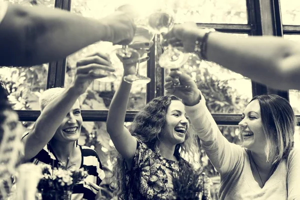 Women having Dinner — Stock Photo, Image