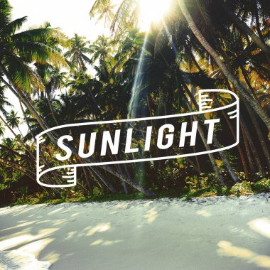 Beach Adası yaz yolculuk