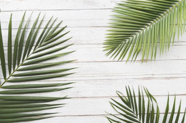 Yaz Chill koleksiyonu 