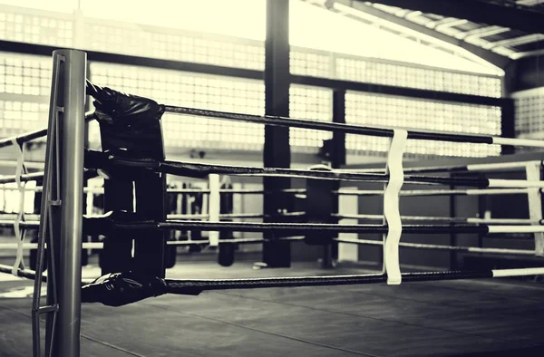 빈 권투 링 — 스톡 사진