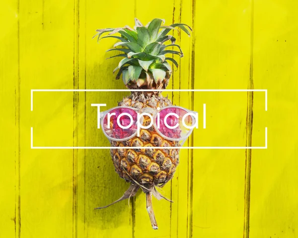 Ananas und Sommerkonzept — Stockfoto