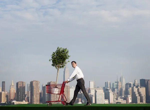 Businessman plants tree — Stock Photo, Image