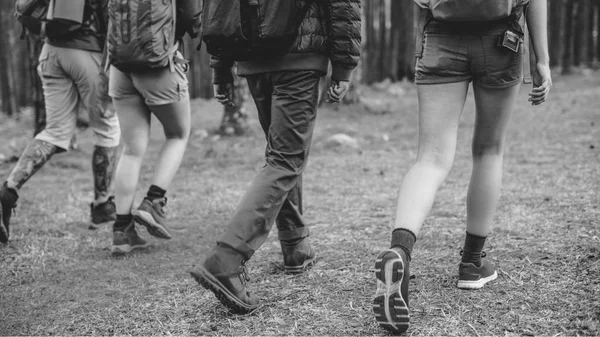 Young friends travelers in forest