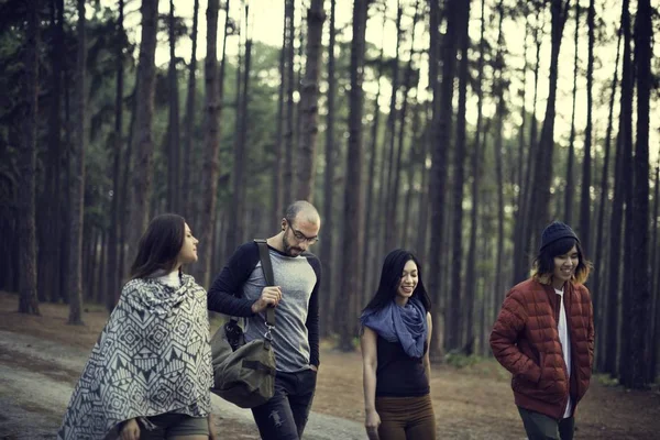 Amici che camminano nella foresta — Foto Stock