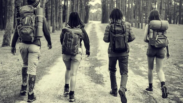 Jóvenes amigos viajando — Foto de Stock