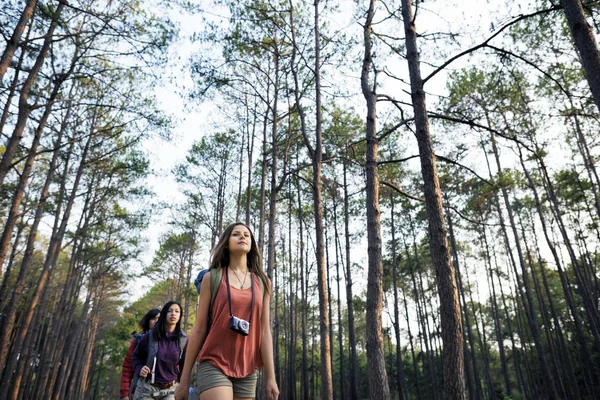 Young Friends Travelers in Forest — Stock Photo, Image