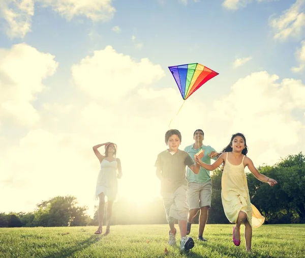 Family play with kite