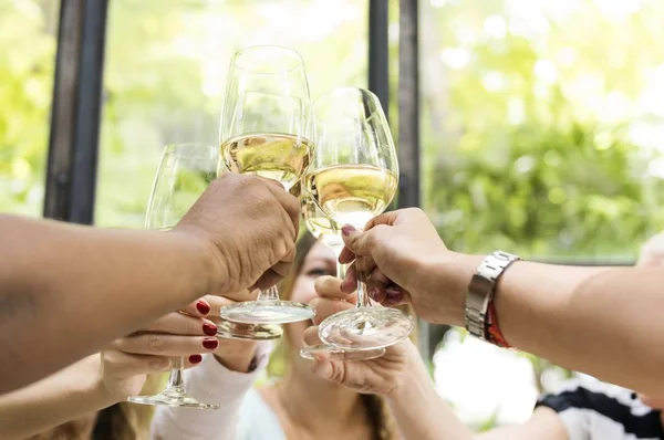 Vrouwen met diner — Stockfoto