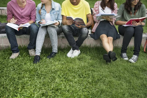 Различные студенты сидят в парке — стоковое фото