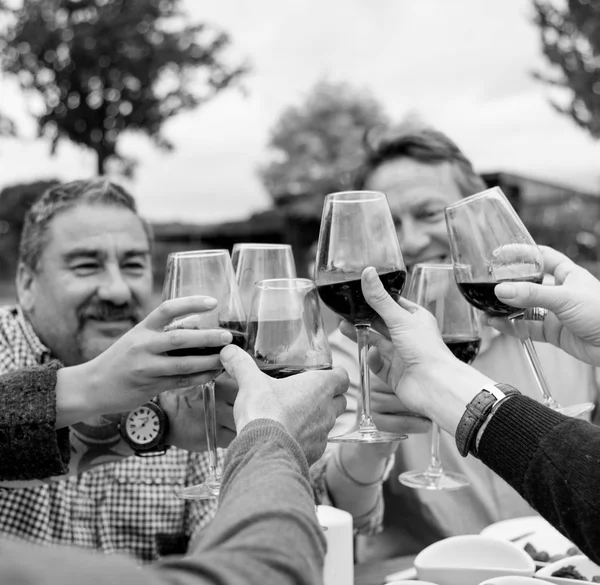 Persone che celebrano e bevono vino — Foto Stock