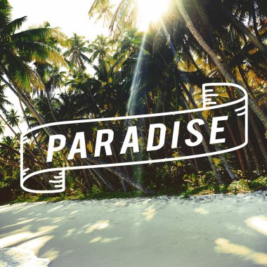 Beach Adası yaz yolculuk