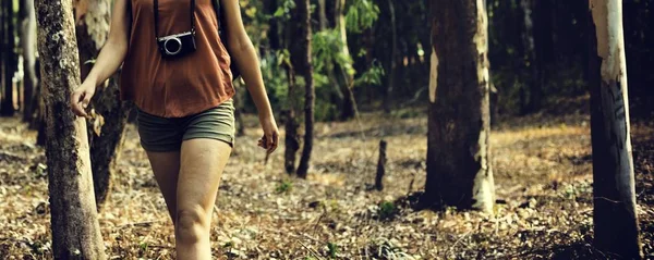 Wandelende vrouw in het bos — Stockfoto