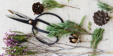 Çok güzel buket ve tablo için makaslar 