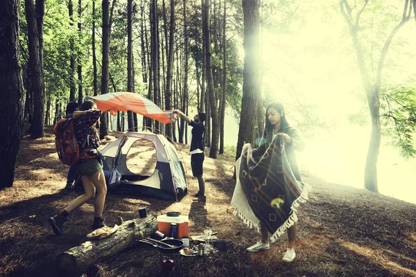 Young friends travelers in forest — Stock Photo, Image