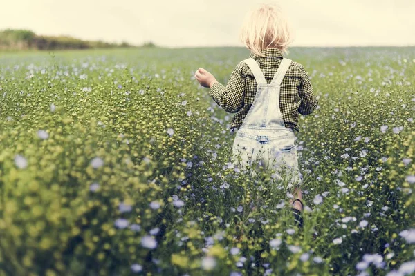 Klein kind wandelen in veld — Stockfoto