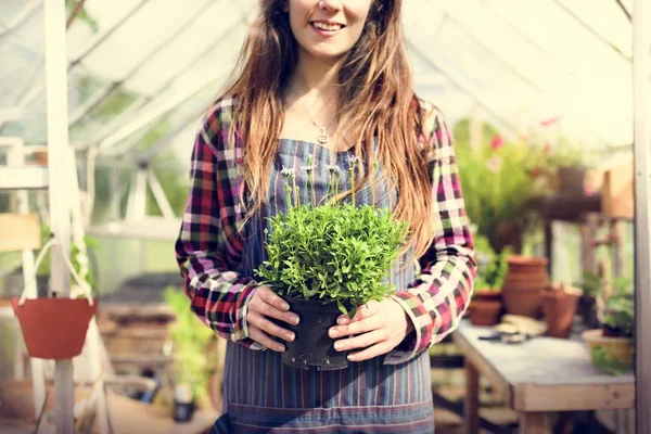 裏庭の緑の植物を保持している女性 — ストック写真