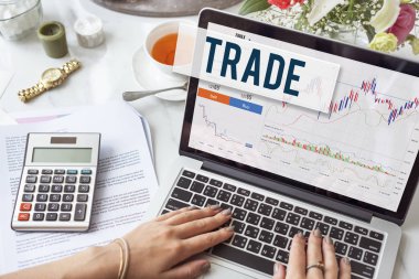 Dizüstü bilgisayarda çalışan kadın