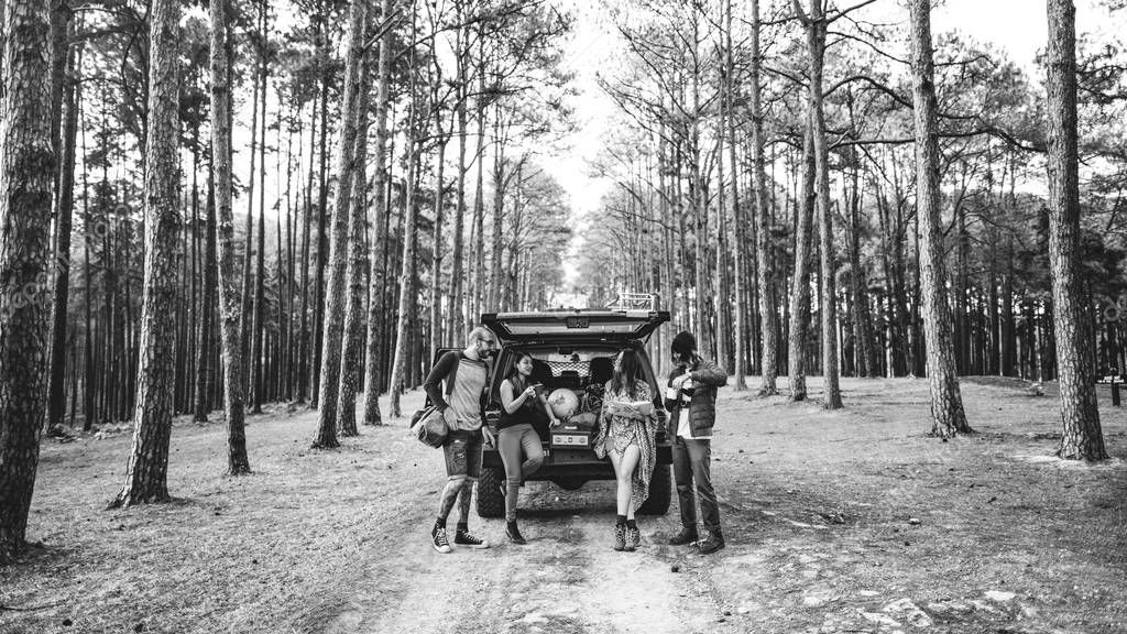 Young Friends Traveling