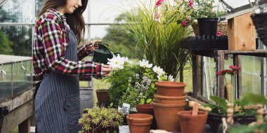 kadın sulama çiçek ve bitki