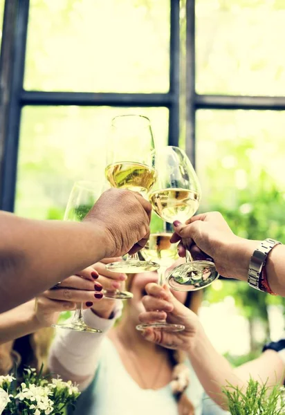 Vrouwen met diner — Stockfoto