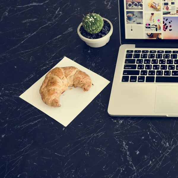 Kaktüs bitki ile masa üstünde laptop — Stok fotoğraf