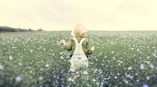 Little kid walking in field — Stock Photo, Image