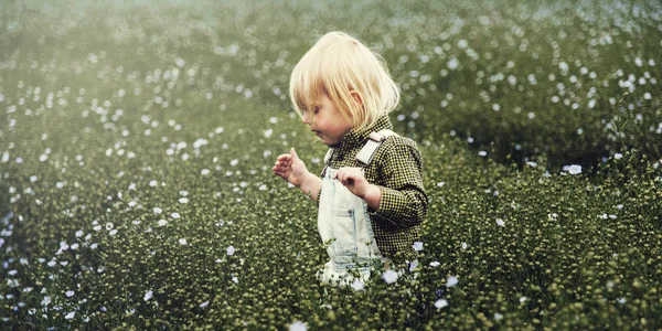 Klein kind wandelen in veld — Stockfoto