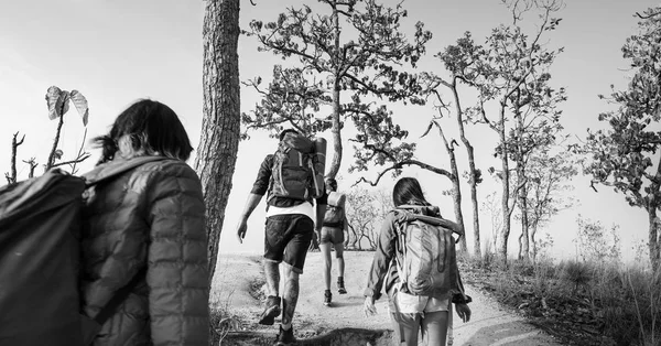 Young Friends Traveling Together — Stock Photo, Image