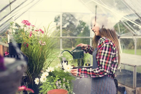 Женщина поливает цветы и растения — стоковое фото