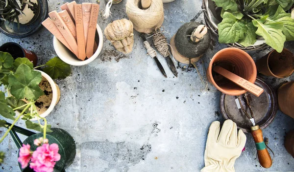 Gartengeräte und Pflanzen — Stockfoto