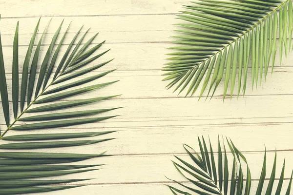 Yaz Chill koleksiyonu 