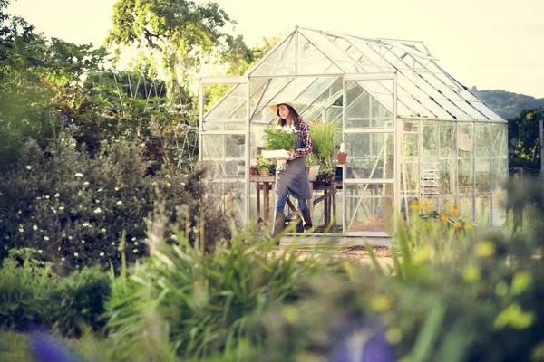 Woman with flowers and plants in backyard — Stock Photo, Image