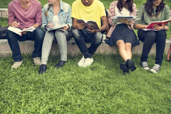 Estudantes diversos Estudando ao ar livre — Fotografia de Stock