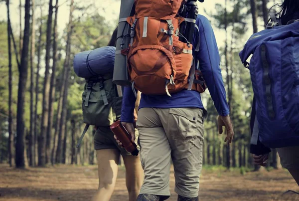 Amigos caminhando na floresta — Fotografia de Stock