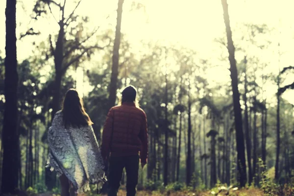 Couple Holding Hands in Forest — Stock Photo, Image
