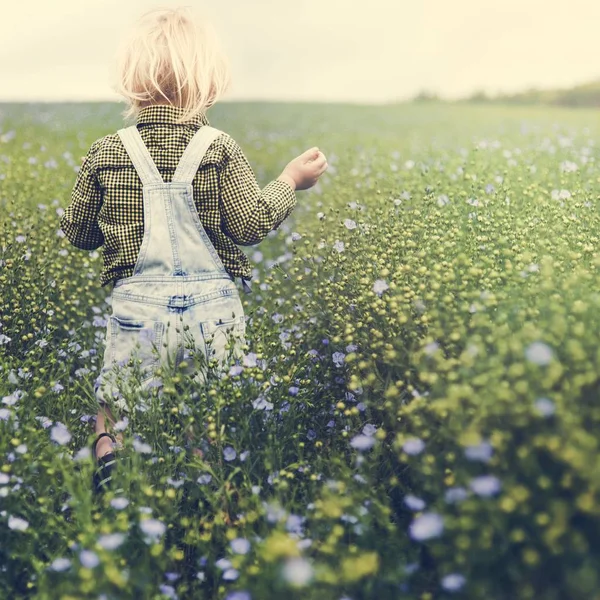 Маленька дитина ходить у полі — стокове фото
