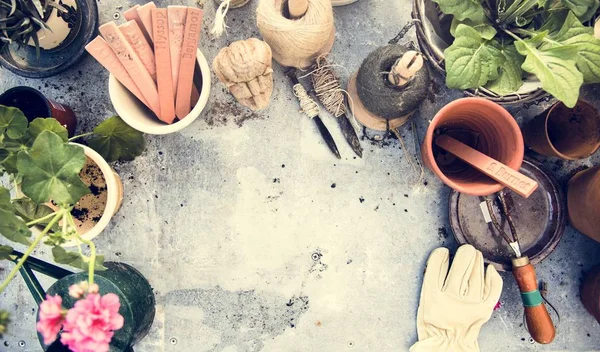 Tuingereedschap en planten — Stockfoto