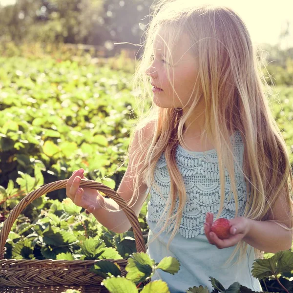 Menina com cesta e morango — Fotografia de Stock