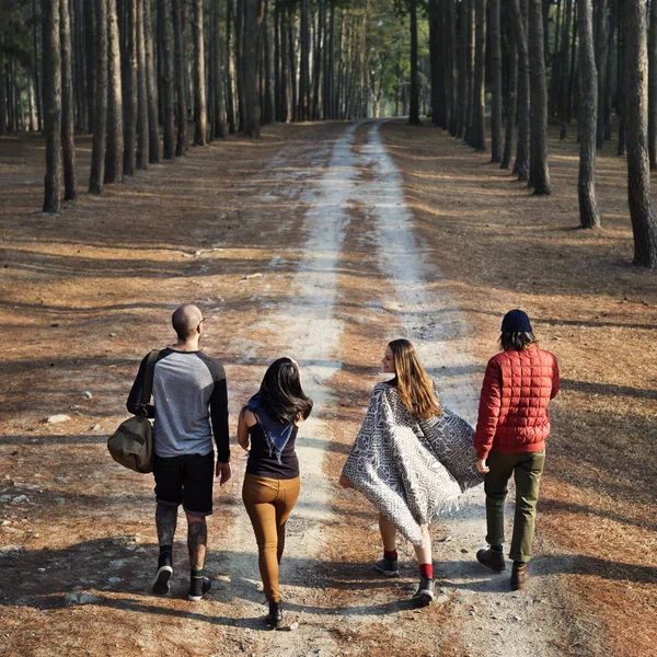 Freunde spazieren im Wald — Stockfoto