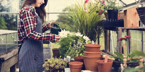 woman watering flowers and plants