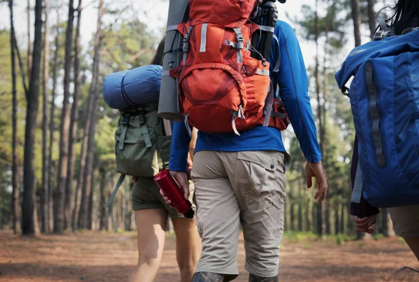 Amigos caminhando na floresta — Fotografia de Stock