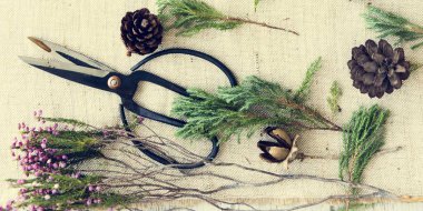 Çok güzel buket ve tablo için makaslar 